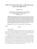 Đầu tư trực tiếp nước ngoài ở việt nam trong thời kỳ hội nhập WTO