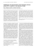 Tài liệu Báo cáo Y học: Identiﬁcation and characterization of the Escherichia coli stress protein UP12, a putative in vivo substrate of GroEL pptx
