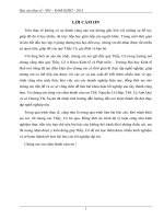 tình hình thu hút vốn đầu tư trực tiếp nước ngoài (fdi) tại khu công nghiệp phú bài, tỉnh thừa thiên huế