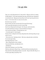 Tài liệu Cây gậy thần pdf