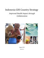 Tài liệu Indonesia GHI Country Strategy - Improved Health Impact through Collaboration pdf