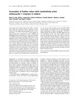 Tài liệu Báo cáo khoa học: Association of feather colour with constitutively active melanocortin 1 receptors in chicken docx