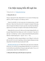 Tài liệu Các hiện tượng biến đổi ngữ âm ppt