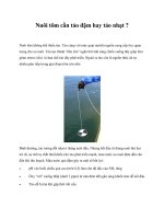 Tài liệu Nuôi tôm cần tảo đậm hay tảo nhạt ? potx