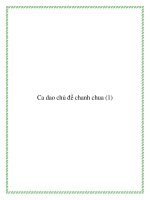 Tài liệu 13 bài ca dao chủ đề chanh chua docx