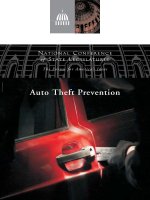 Tài liệu Auto Theft Prevention pdf