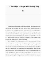 Tài liệu Cảm nhận về đoạn trích Trong lòng mẹ pdf