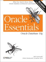 Tài liệu Oracle Essentials Oracle Database 10g doc