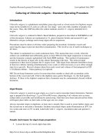 Tài liệu Báo cáo 