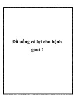Tài liệu Đồ uống có lợi cho bệnh gout ! pdf