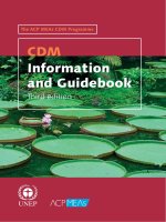 Tài liệu CDM Information and Guidebook potx