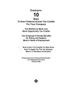 Tài liệu Employers: 10 Ways To Earn Federal Income Tax Credits For Your Company ppt