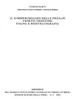 Tài liệu IL KIMMERIDGIANO DELLE PREALPI VENETO-TRENTINE: FAUNA E BIOSTRATIGRAFIA pdf