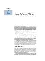 Tài liệu Plant physiology - Chapter 4 Water Balance of Plants docx
