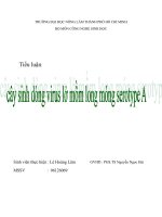 cây sinh dòng virus lở mồm long móng serotybe a