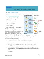 Chủ đề 0. Nhắc lại kiến thức cơ sở của DNA - RNA - Protein (Tải: https://link1s.com/yHqvN)