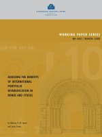 Tài liệu ASSESSING THE BENEFITS OF INTERNATIONAL PORTFOLIO DIVERSIFICATION IN BONDS AND STOCKS ppt