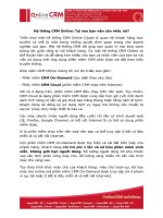Tài liệu Hệ thống CRM Online: Tại sao bạn nên cân nhắc nó docx