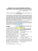 Tài liệu NGHIÊN CỨU THỰC TRẠNG Ô NHIỄM MÔI TRƯỜNG ĐẤT NÔNG NGHIỆP, VÙNG CHUYÊN CANH RAU HOA TỈNH LÂM ĐỒNG ppt