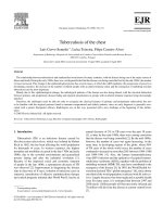 Tài liệu Tuberculosis of the chest doc