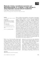 Tài liệu Báo cáo khoa học: Molecular cloning, recombinant expression and IgE-binding epitope of x-5 gliadin, a major allergen in wheat-dependent exercise-induced anaphylaxis ppt