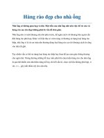 Tài liệu Hàng rào đẹp cho nhà ống pdf