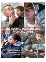 Tài liệu THE GLOBAL ECONOMIC AND FINANCIAL CRISIS: Regional Impacts, Responses and Solutions doc