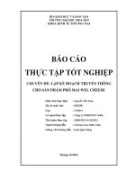 lập kế hoạch truyền thông cho sản phẩm phô mai wel cheese