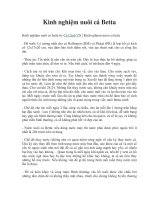 Tài liệu Kinh nghiệm nuôi cá Betta docx