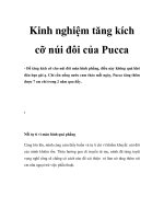 Tài liệu Kinh nghiệm tăng kích cỡ núi đôi của Pucca ppt