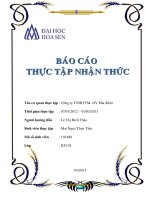 Báo cáo thực tập nhận thức Công ty TNHH TM- DV Mai Khôi
