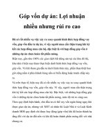 Tài liệu Góp vốn dự án: Lợi nhuận nhiều nhưng rủi ro cao pot