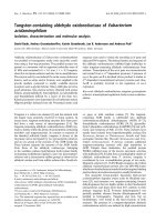 Tài liệu Báo cáo khóa học: Tungsten-containing aldehyde oxidoreductase of Eubacterium acidaminophilum ppt