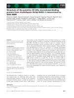 Tài liệu Báo cáo khoa học: Structure of the putative 32 kDa myrosinase-binding protein from Arabidopsis (At3g16450.1) determined by SAIL-NMR docx