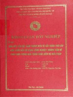 cam kết của việt nam trong wto về cắt giảm trợ cấp xuất khẩu đối với hàng công nghiệp những vấn đề phát sinh trong quá trình thực hiện và giải pháp