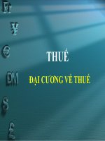 Tài liệu Tổng quan thuế docx