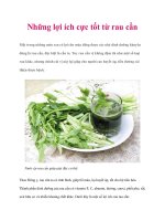 Tài liệu Những lợi ích cực tốt từ rau cần pot