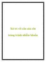 Tài liệu Xử trí vết cắn của côn trùng tránh nhiễm khuẩn pot