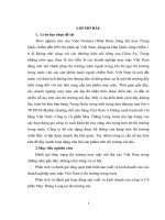 giải pháp nâng cao hoạt động bán hang thị trường nội địa của công ty cổ phần may thăng long