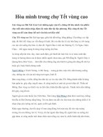 Tài liệu Hòa mình trong chợ Tết vùng cao pot