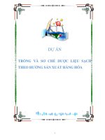 DỰ ÁN TRỒNG VÀ SƠ CHẾ DƯỢC LIỆU SẠCH THEO HƯỚNG SẢN XUẤT HÀNG HÓA
