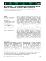 Tài liệu Báo cáo khoa học: Erythrochelin – a hydroxamate-type siderophore predicted from the genome of Saccharopolyspora erythraea docx