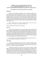 Tài liệu BÁO CÁO 