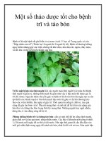 Tài liệu Một số thảo dược tốt cho bệnh trĩ và táo bón pot