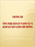 Tài liệu CÔNG NGHỆ GIÁM SÁT VI SINH VẬT VÀ ĐÁNH GIÁ CHẤT LƯỢNG MÔI TRƯỜNG ppt