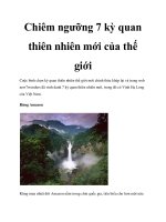 Tài liệu Chiêm ngưỡng 7 kỳ quan thiên nhiên mới của thế giới pot