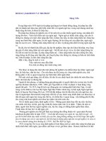 Tài liệu Báo cáo 