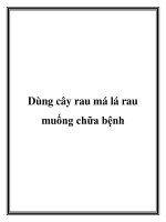 Tài liệu Dùng cây rau má lá rau muống chữa bệnh doc