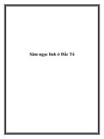 Tài liệu Sâm ngọc linh ở Đắc Tô ppt