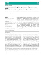 Tài liệu Báo cáo khoa học: a-enolase: a promising therapeutic and diagnostic tumor target ppt